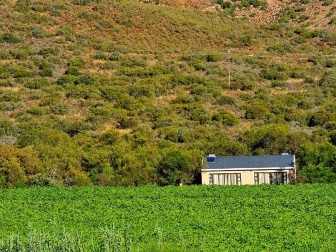 Mymering Wine & Guest Estate Ladismith Exterior foto