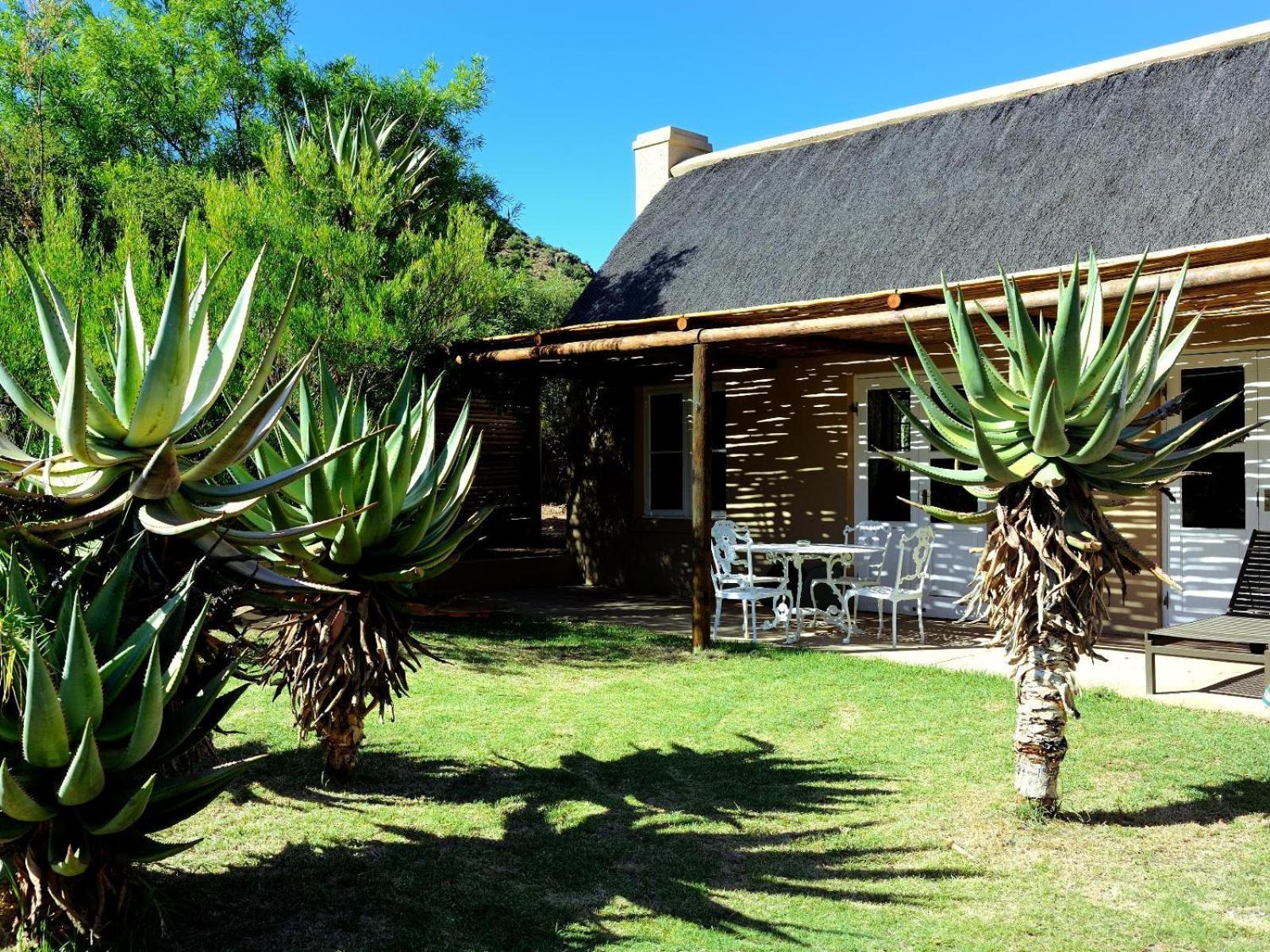 Mymering Wine & Guest Estate Ladismith Quarto foto