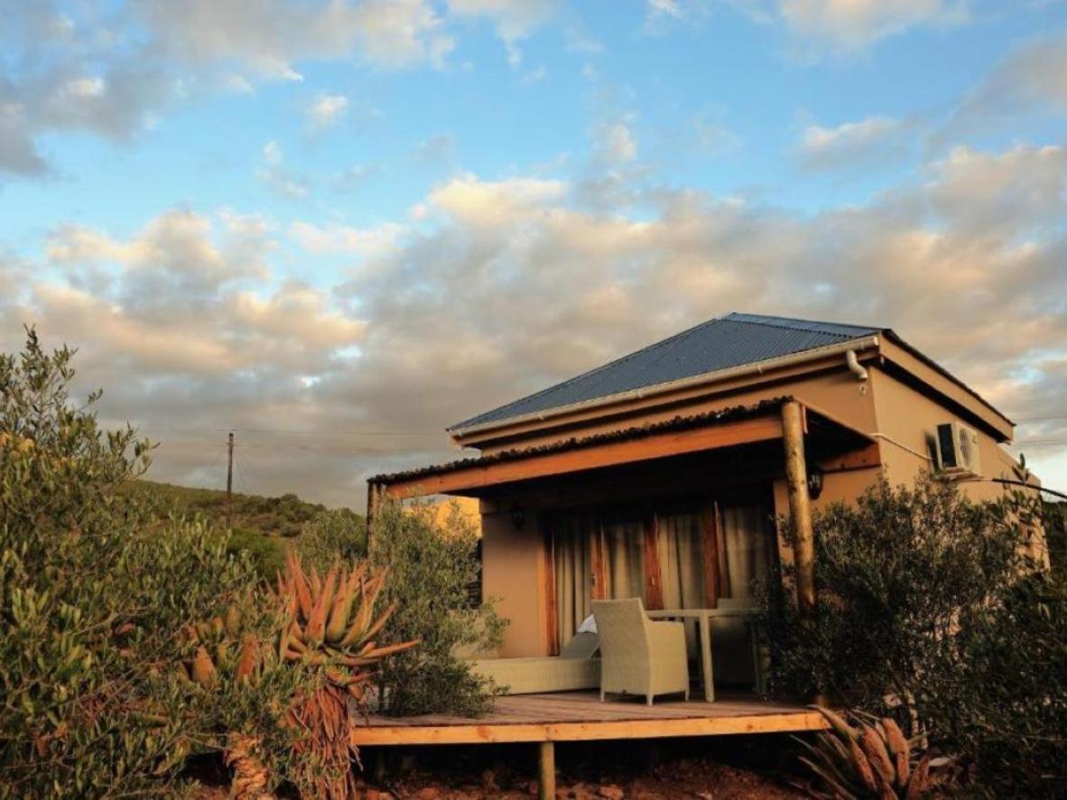 Mymering Wine & Guest Estate Ladismith Quarto foto
